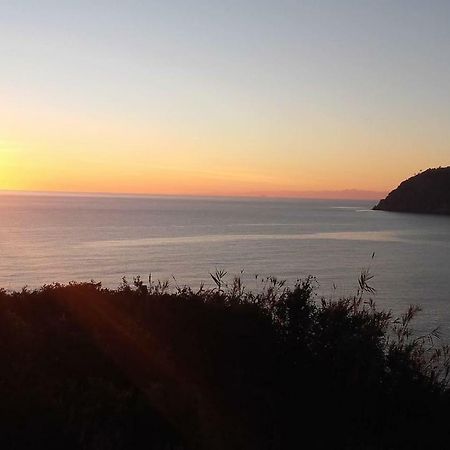 Un Gioiello Con Vista Mare Villa Moneglia Dış mekan fotoğraf