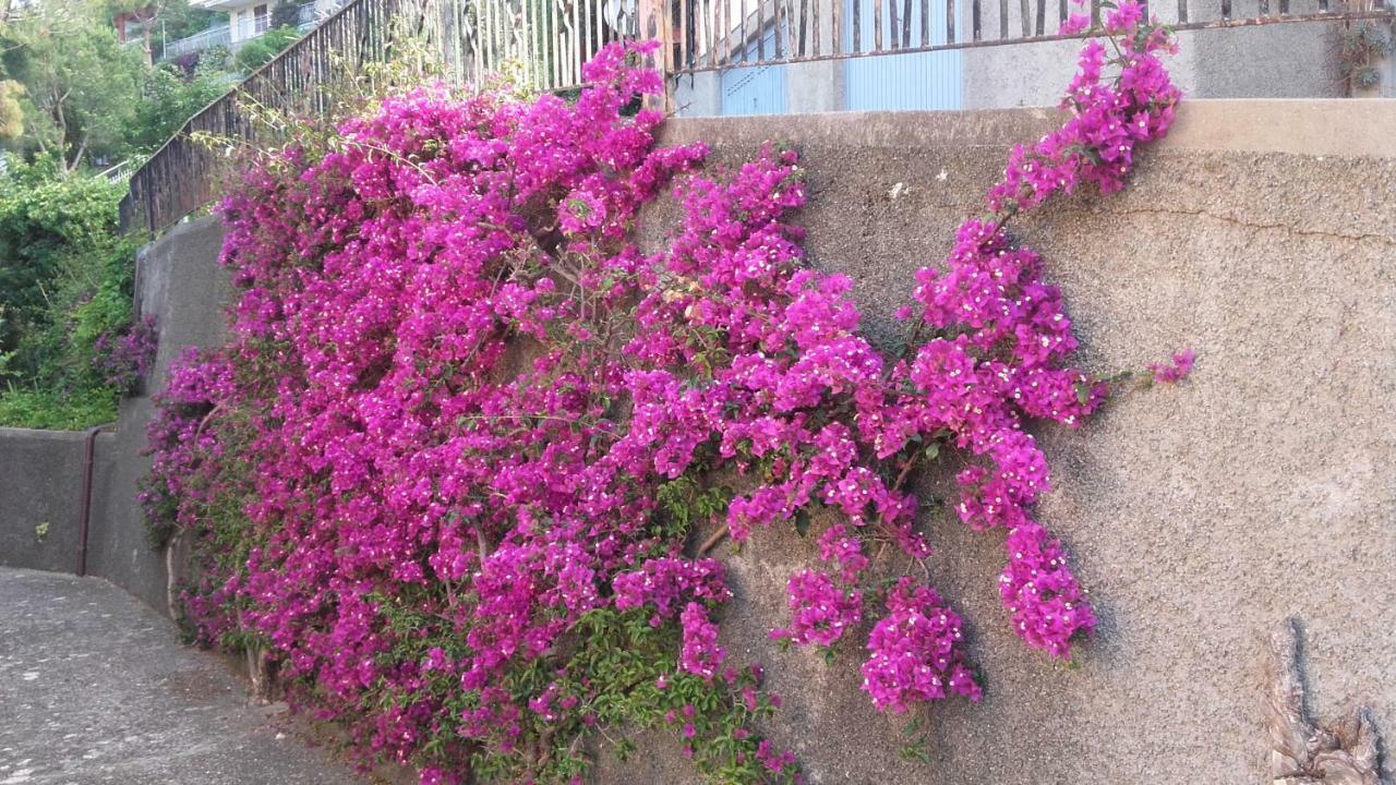 Un Gioiello Con Vista Mare Villa Moneglia Dış mekan fotoğraf