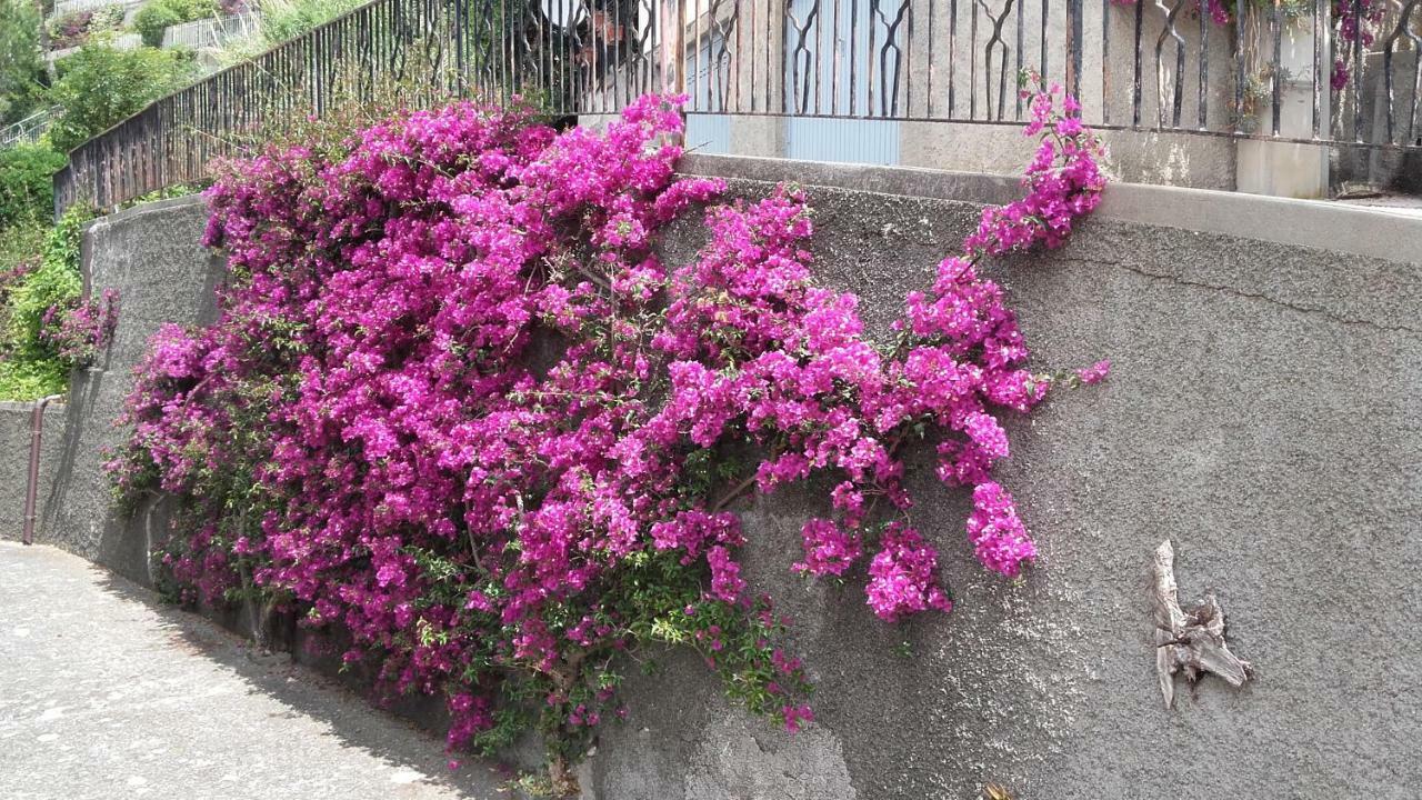 Un Gioiello Con Vista Mare Villa Moneglia Dış mekan fotoğraf